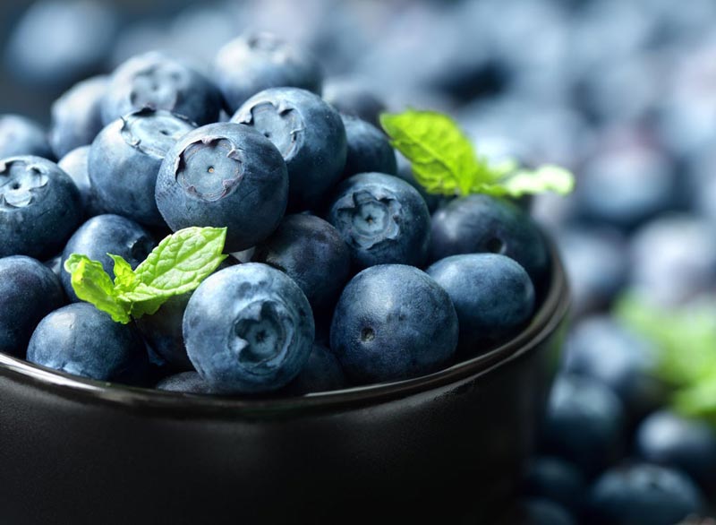 برنامه شکم شش تکه,blueberries-foods-eat-every-day بلوبری